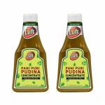 Wah Luft Instant And Delicious Ready To Use Pani Puri Phudina Concentrate For Pani Puri Spicy Pani 400 gm - Pack Of 2
