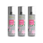 Signature Rajnigandha No Gas Air Freshener - 750 ml( Pack of 3 X 250 ml each)|Instantly freshenes the area|Removes bad odour|Use anywhere in home, room & car|Revitalizing & long lasting aroma|Pack of 3