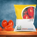 FARMSON BIOTECH PRIVATE LIMITED FB-KING F1 HYBRID TOMATO SEEDS (SQUARE OVAL AND RED)-10 Gm Pack
