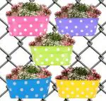 CraftVatika Multicolor Metal Dotted Oval Hanging Railing Planters 30.48 x 15.24 cm (Pack of 5)