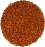 Tamransh Harcog Premium Quality Halim Seeds, 1000 Seeds