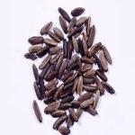 Green India Gulmohar Seeds -Ornamental tree seeds -Avenue Tree seeds (Delonix regia seeds)_200 gm