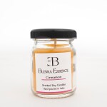 Blenka Essence 100% Natural Scented Candles Soy Wax Aroma with 15-18Hr Burn Time | 1 X 60g |