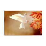 Tamatina Multicolor Nature Art White Sparrow Nature Canvas Painting - 24X16 Inch
