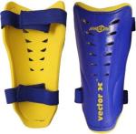 Vector X Blue and Yellow Shinguard (Large)