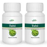 Jain Tulsi Powder - 100 g (Pack of 2)