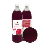 Uttarakhand Buransh CONCENTRATE SUAGAR FREE (Sanjeevini Flower) GiTAGGED - 1L