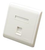 CC CABLE CONNECTOR Digisol White Dgc-Fpxsmss-A Single Port Face Plate (Pack Of 20)