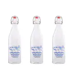 SAND DUNE Paani Printed Glass Clip Top Cap Water Bottle with Flip Top Cap Bottle(1000ml,set 3)