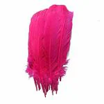 TIPTOP DECORATION Natural Pink Goose Quill (Pack of 5) (12-14 Inches)