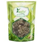 YUVIKA Kanghi - Atibala - Mahabala - Abutilon indicum - Indian Mallow (200 Grams)