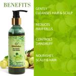 shiwalya natural hair shampoo