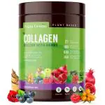Vegan Greens Natural Collagen Builder With Herbs. (Vitamin C, Silica, Biotin & Antioxidants from 22 Plants, Fruits & Herbs) For Skin Glow & Skin Elasticity. (250g, Classic Natural Taste)