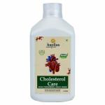 Kapilaa Pharma Chem Cholesterol Care Juice Contains Honey with Apple Cider Ginger Garlic (1 Liter)