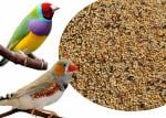 COLOURFUL - Natural & Healthy Premium Birds Food for Sparrow,Silver Bill, Finches & Java | Daily Birds Food Seed Mix (900g)