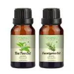 Young Chemist Tea Tree and Eucalyptus Essential Oil Hair Growth and Aromatherapy for Hair 30 ml Pack of 2