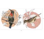 Asian Paints Nilaya Orange Polyvinyl Bird Song Orange Branches Wall Sticker