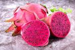 Corofitam Dragon TreeDragen PlantRED DRAGON FRUIT PLANT-30