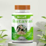 Divya Shree Shatavari Women's Health Supplement - Enhances female libido, energy and vitality, Promote Health & Vigor, and Maintain Healthy Hormonal Balance - 60 Capsules by Jeevan Care Ayurveda