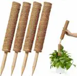 Garden Art Imported Moss Stick, Coir Pole for Plants(Pack of 1) Monstera, Coco Coir Moss Poles for Climbing Plants- Plant Support Extension to Grow Upwards (15.70 in, Pack of 1)