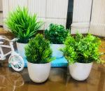 Ryme Green Artificial Plants With Pot Vase For Home And Office Decoration Bonsai Wild Artificial Plant With Pot- 11 cm (Set Of 4)