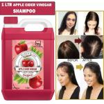 B&B BLISS & BLUSH Apple CIider Vinegar Conditioning Shampoo For Smooth And Silky Hair 1 ltr