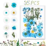 Yellowcult Dried Flowers Aesthetic - Blue & White Collection Pf2020Anc