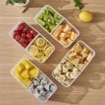 Netrowel New Portable Kitchen Fruit Vegetable Plastic Food Storage Container With Lid (Pack Of 4)