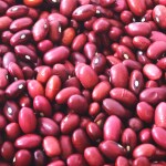 Plantzoin Cowpea Lobiya Vigna unguiculata Jhudanga 100 Seeds for Cultivation