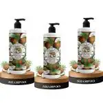 B&B Bliss & Blush Coconut & Avocado Oil No Parabens & Sulphate Hair Shampoo, 200Ml (Pack Of 3)