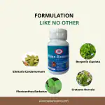 SGP STONE- REMOVER | Ayurvedic Stone Remover Tablets | Kidney Stone Removal Medicine