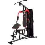 FEMIRO FITNESS Home Gym Multi Machine All-in-one Equipment for Men & Women Workout Machine Chest Biceps Shoulder Back Triceps Legs Muscle Multiple Exercise at Home, (Multi-Color) (HG-211 | Standard)
