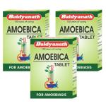 Baidyanath Amoebica I Ayurvedic Diarrhea Medicine, 100 tablets (pack of 3)