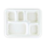 eco healthware Compostable 5 Compartment School Lunch Trays - Eco-Friendly Disposable Dinner Plate (Pack of 25)