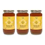 NATURE TRUST Raw Organic Wild Forest Honey - 100% Pure and Natural - Unprocessed, Unfiltered, Unpasteurized- PACK OF 3 1200 GRAM Each
