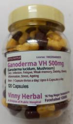 Ganoderma DH Herbal Supplement Capsules 120 Caps Jar - DoctorKC Herbal