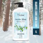 Tryones Arctic Mint Refreshing Reuiue Cools And Energizes Scalp Shampoo (1000ml)