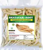 3V Products Shatavari Root Asparagus Racemosus, 500 G (Pack Of 2)