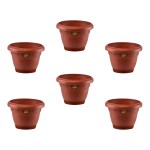 Rishta 12 Inch Eco Planter with Tray - HDPE Material - Madhubani Art Carving - Brown - Pack of 6