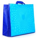 Colourtales Multicolor Paper Women Printed Laminated Non Woven Gift Shopping Bags