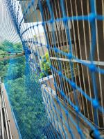 Vahi Pigeon Bird Control Net/Anti Bird Nylon Knotted UV Stabilized Net 25mm Hole with Tying Corner Ropes Sample Installation Kit - 8 Ft X 20 Ft (243.84cm X 609.6cm) Blue Colour