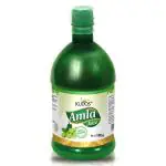 Kudos Amla Ras | Immunity Booster | 100ML | GMP Certified