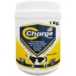 REFIT ANIMAL CARE Electrolytes Powder for Cow, Cattle, Goat & Animals, 1 Kg, C-Charge