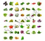 SimXotic Seeds Combo of 46 Vegetables Seeds (2500+ Seeds) ORGANIC