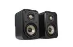 GRALA40 Polk Audio ES10 Black Woofer