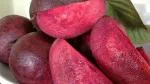 Platone Guava Plant Live Red Thailand Guava/Amrood/Amrud Fruit Plant With Without Pot