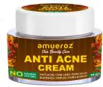 Amueroz Anti Acne Cream, Reduce Pigmentation, Blemish, Pimples, Dark Spots And Scars, For Dry, Oily, Normal Skin, 50 G