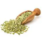 Dirghaanshi Saunf,Fennel Seed,Peruncirakam,Mauri,Saumph,Souf,Sweet Cumin,Peruncheeragam, Seed (Pack of 100gm)