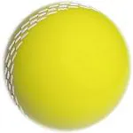 TIMA Yellow Genuine Quality PVC Coated Cricket Ball