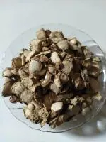 Tamransh Ambestore Ginger Lily Seed, 50 Seeds